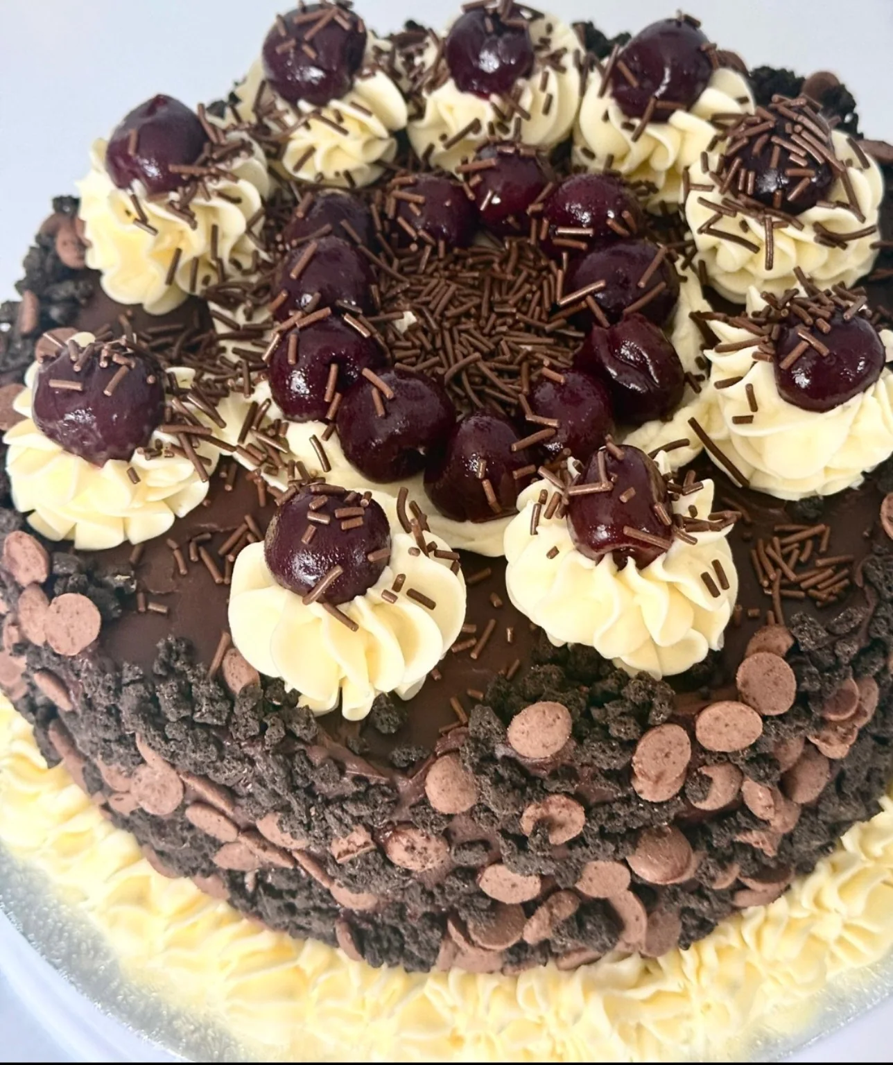 Chocolate celebration cake topped with cherries